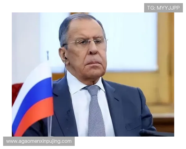 新普京的主要职责和工作内容详解以及他对俄罗斯未来的影响